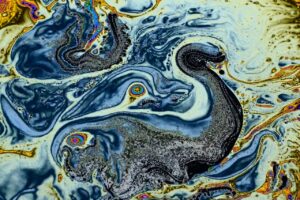 photo_2026-01-20_17-50-05