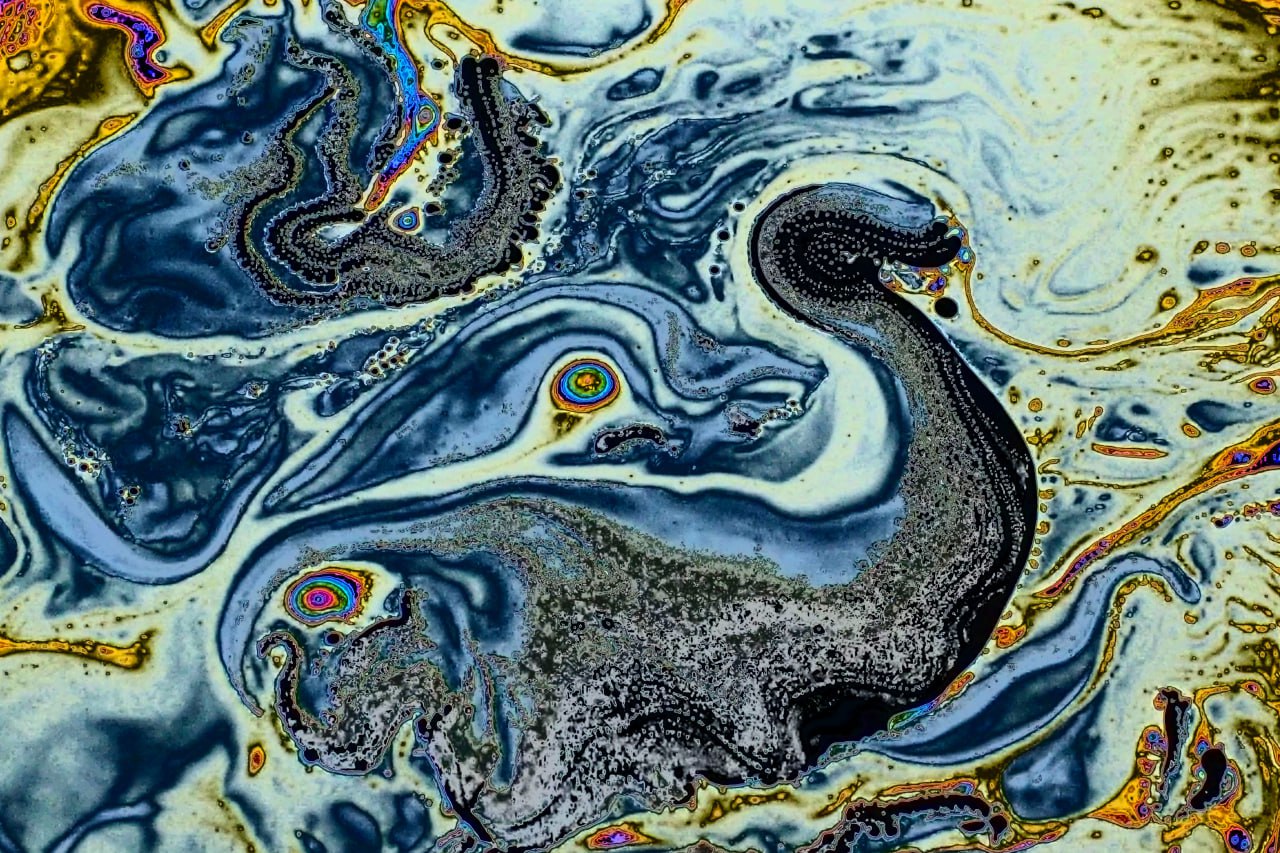 photo_2026-01-20_17-50-05