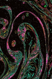 photo_2026-01-20_17-51-02