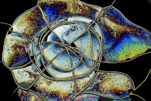 photo_2026-01-20_17-51-20