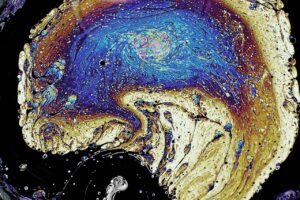 photo_2026-01-20_17-51-27