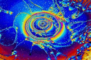 photo_2026-01-20_17-51-33