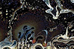 photo_2026-01-20_17-51-41