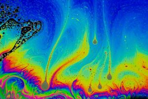 photo_2026-01-20_17-52-09