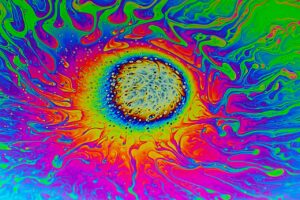 photo_2026-01-20_17-52-15