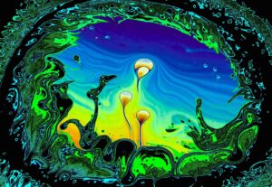 photo_2026-01-20_17-52-20