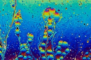 photo_2026-01-20_17-52-28