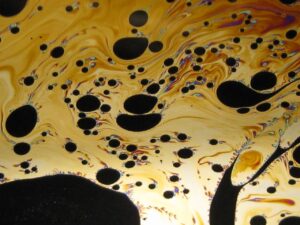 photo_2026-01-20_17-52-36